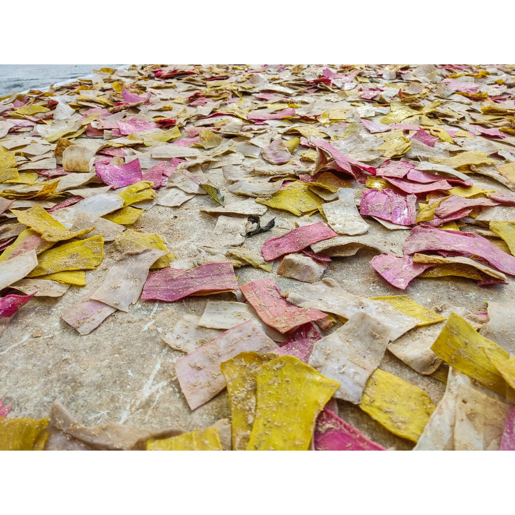 

MURAH Kerupuk Melarat Mentah 250 gram 500 gram 1 kg / Krupuk Mlarat Asli Tradisional / Makanan khas daerah Cirebon Nusantara Indonesia Bisa COD