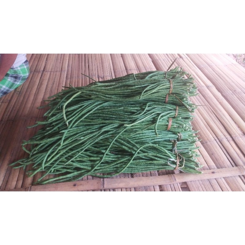 

kacangpanjang hasil dari kebun sendiri (1kg )