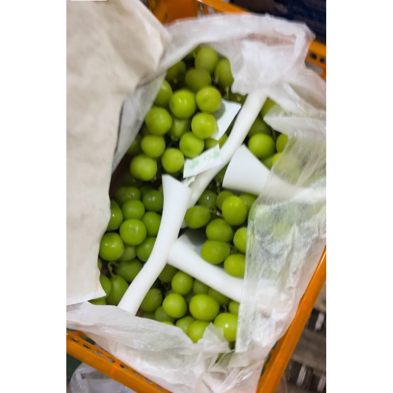 

Anggur Muscat Manis