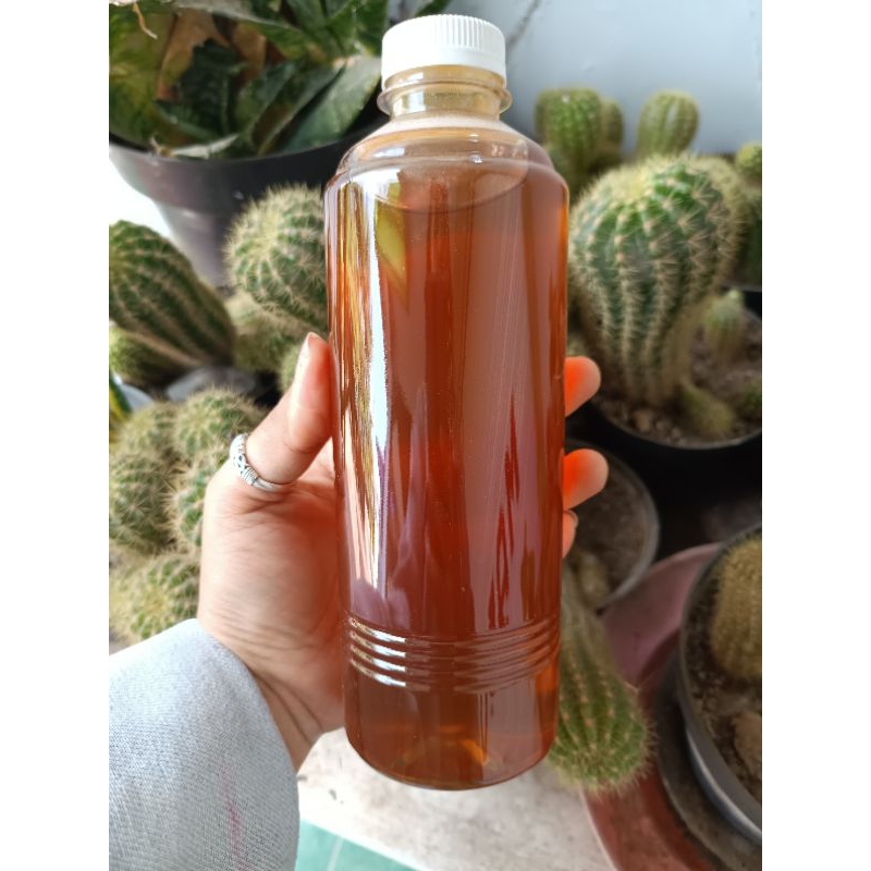 

Madu Randu hutan asli original