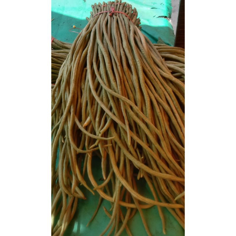 

Kacang Panjang Makassar 3.000 Per/1Ikat