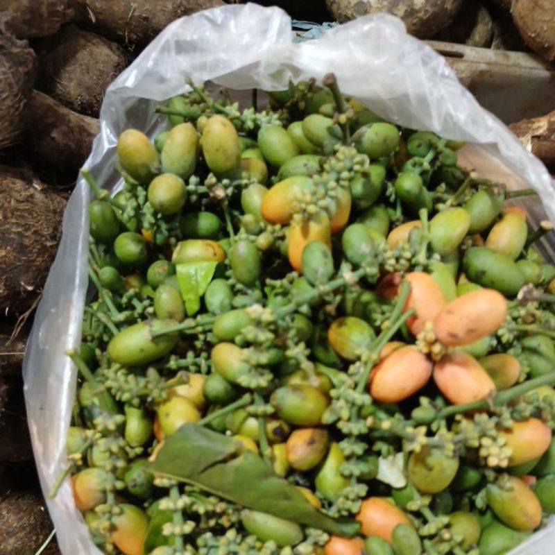 

buah tangkil 250gram