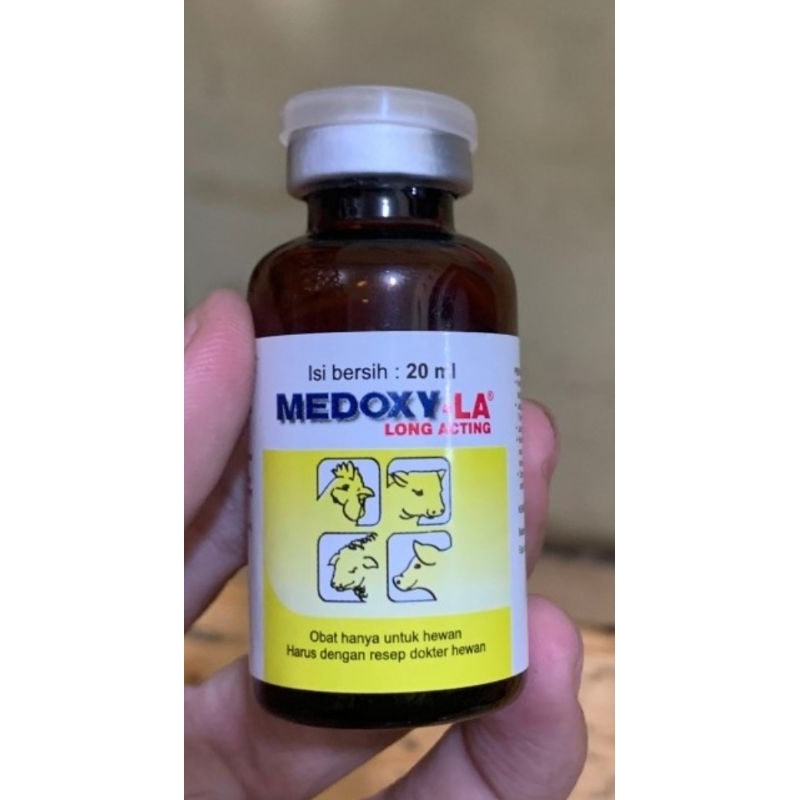 MEDOXY LA 20 ml - Antibiotik Hewan Untuk Sapi Kuda Kambing Ayam Bebek
