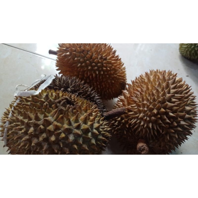 

durian