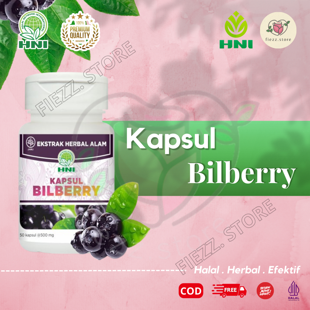 Bilberry Kapsul HNI kandungan buah bilberry