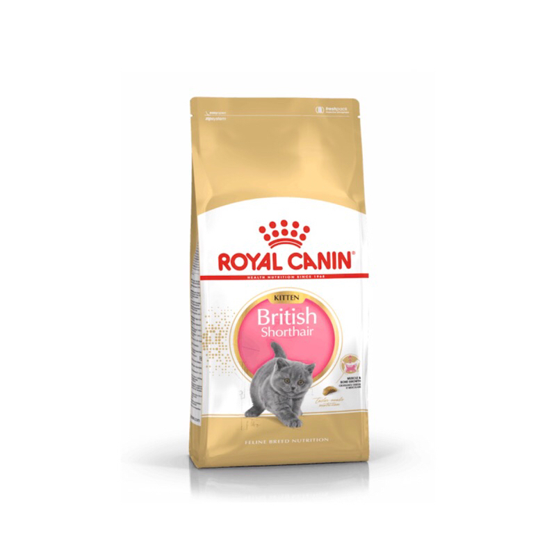 Royal Canin British Short Hair Kitten