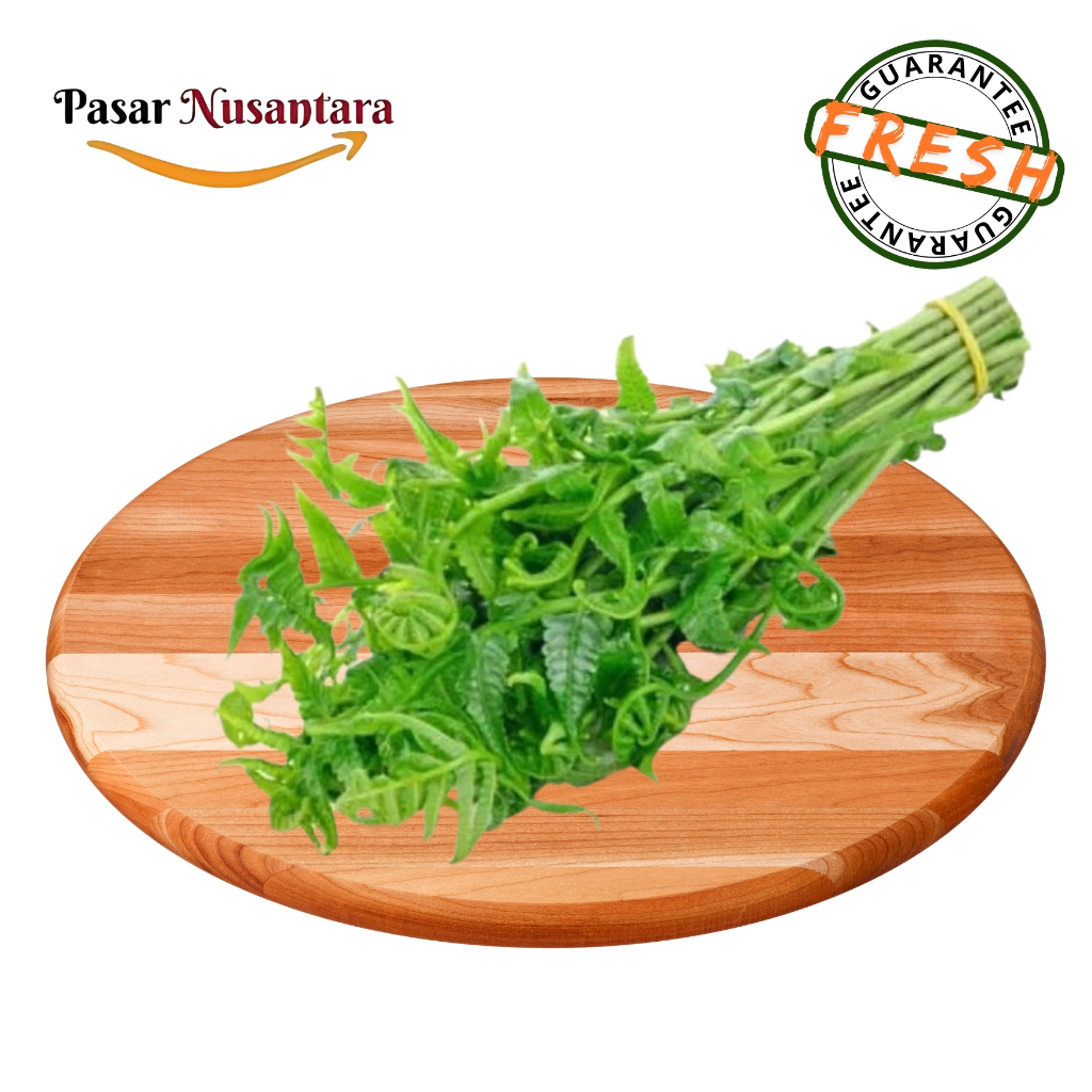 

Daun pakis muda per ikat - Pasar Nusantara