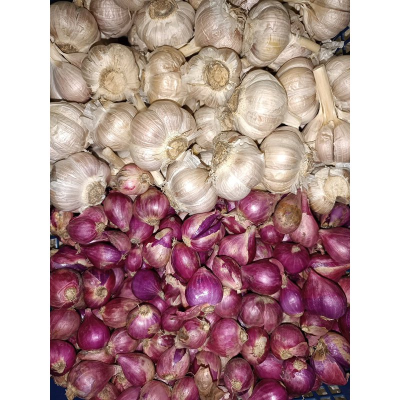 

bawang merah super 1kg bawang putih super 1/4kg