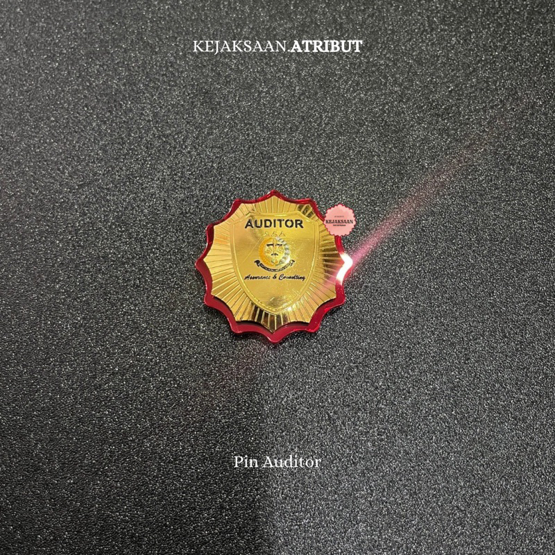 Pin Auditor - Kejaksaan