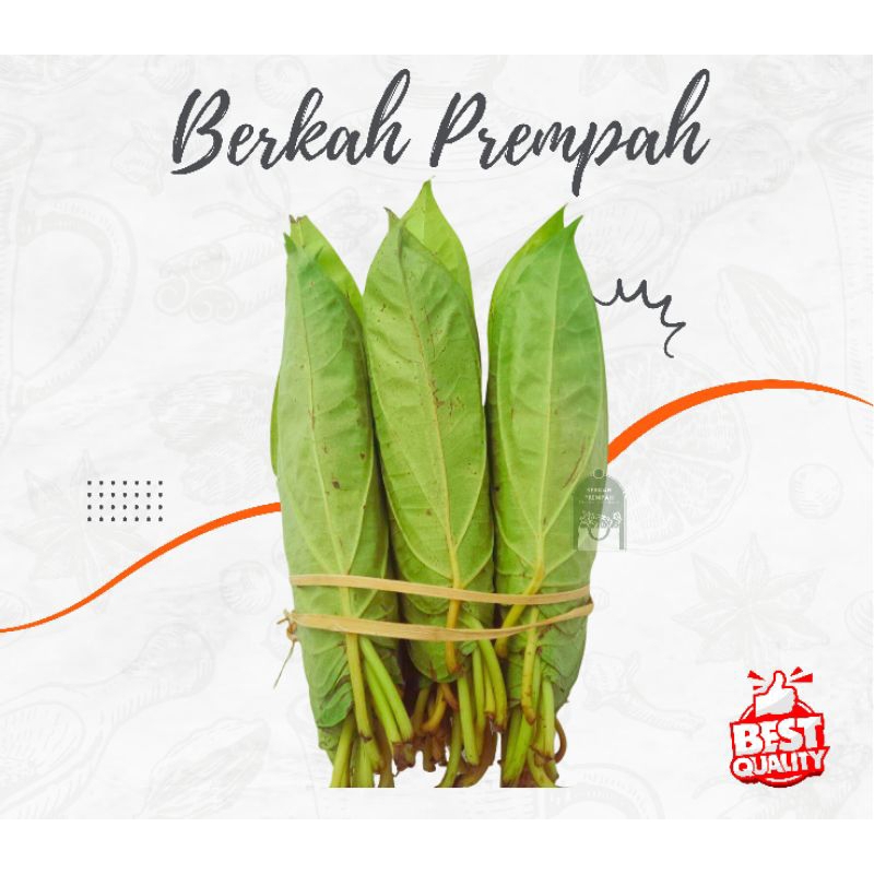 

Daun sirih demban / nampuran no.1 khas medan - 1ikat