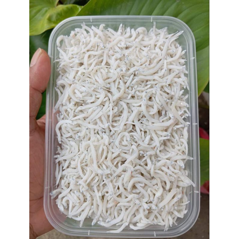 

teri nasi / terimedan