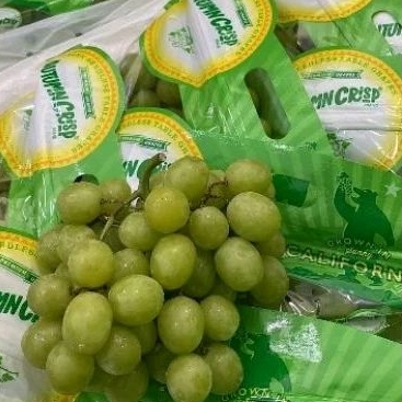 

Anggur Hijau Autumn Crispy