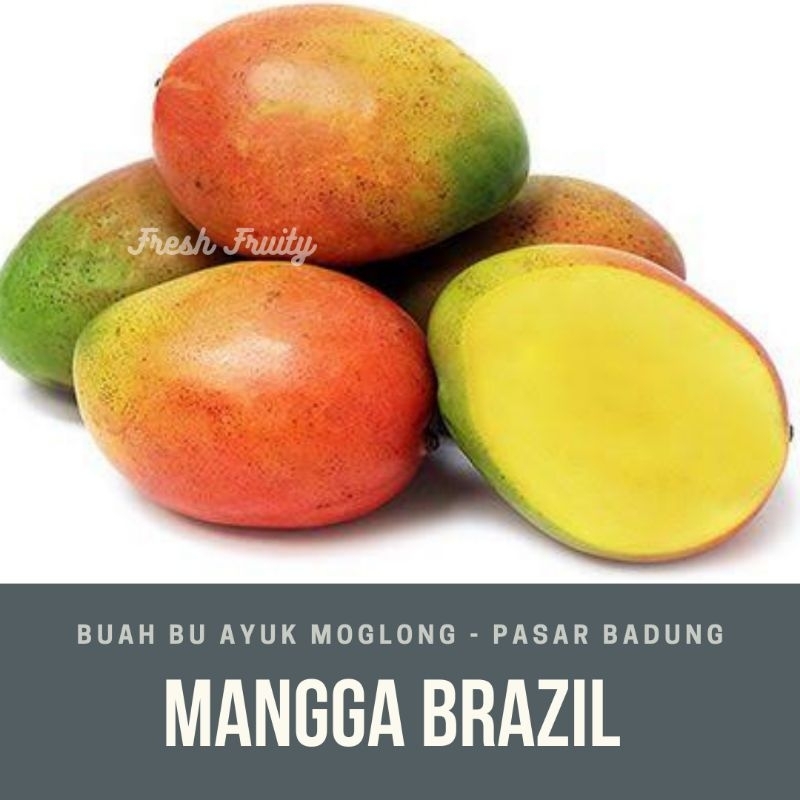 

mangga merah brazil