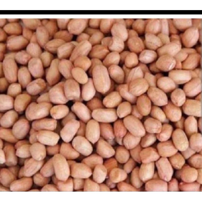 

kacang tanah mentah murah