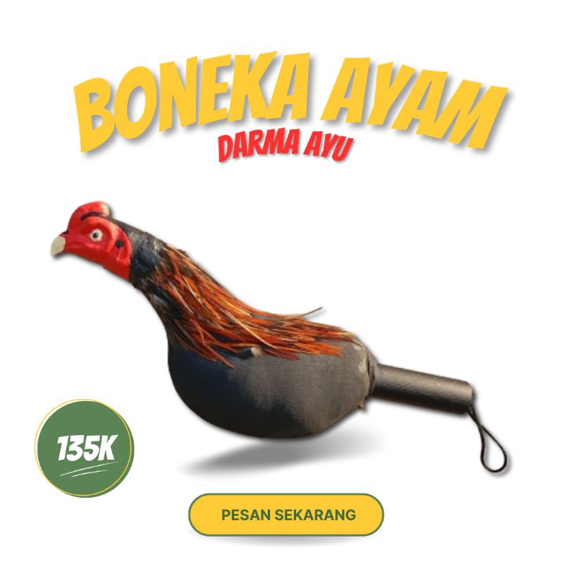 Ay00 Alat Latihan BONEKA AYAM ADUAN Murah Bulu dan Bulu Woll Ayam Bangkok Thailand