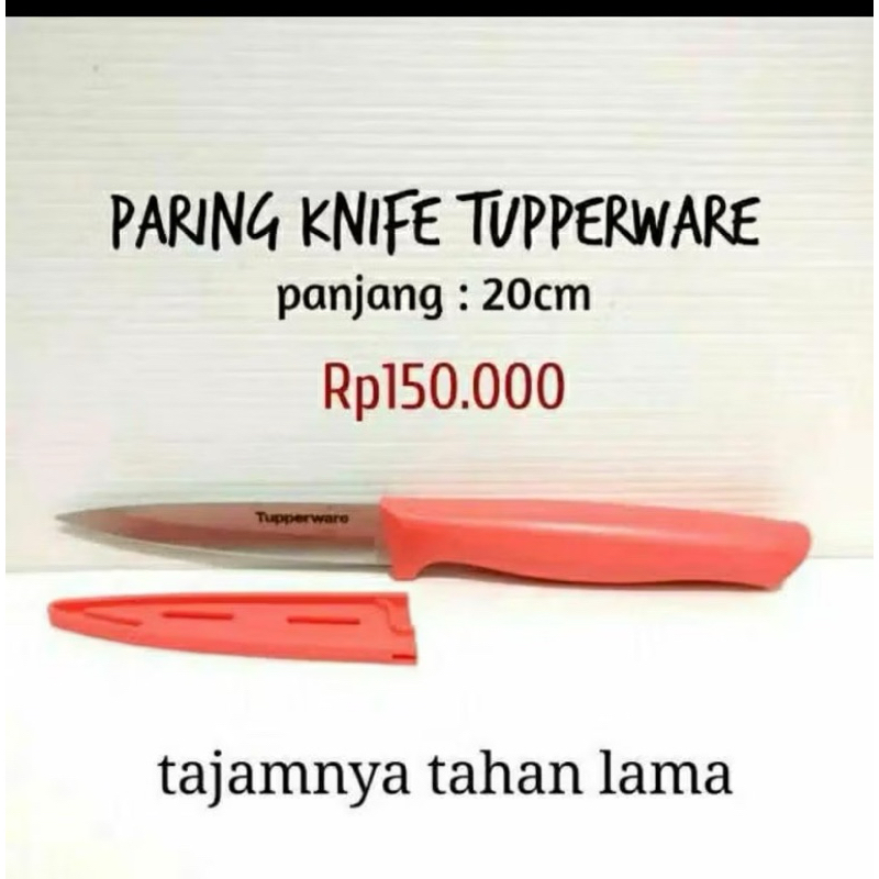 PARING ASIAN PRO KNIFE ECER 1PCS/ PISAU BY TUPPERWARE