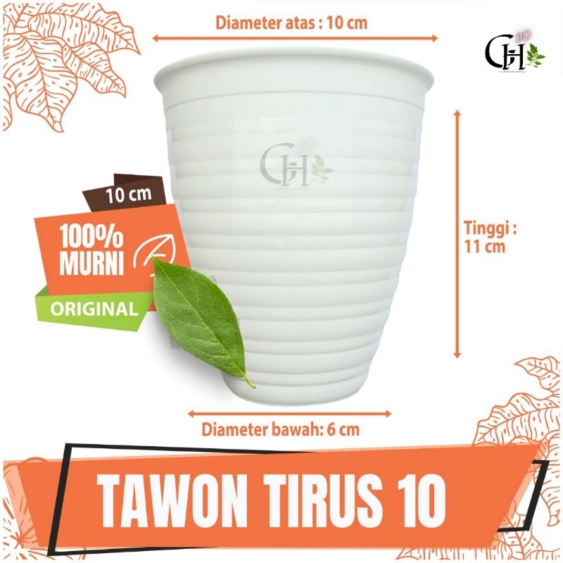 Pot tirus JET goccie 101 original | Pot tirus tawon 101