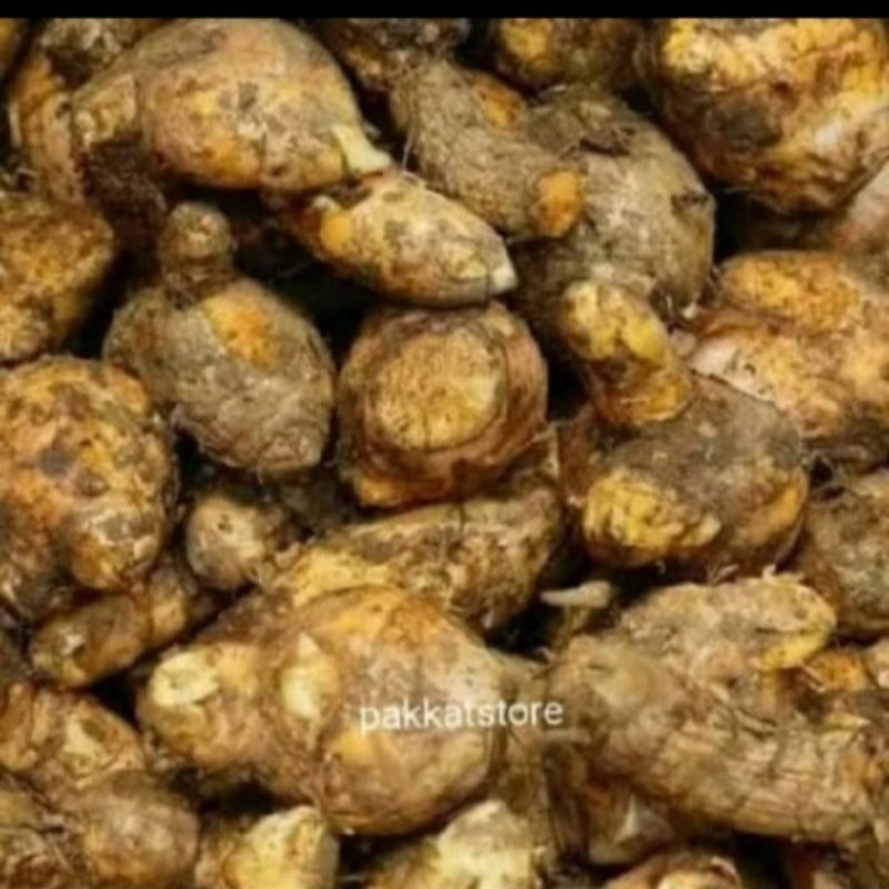 

Temulawak/Temu Labak/Koneng Gede Curcuma 500 gram