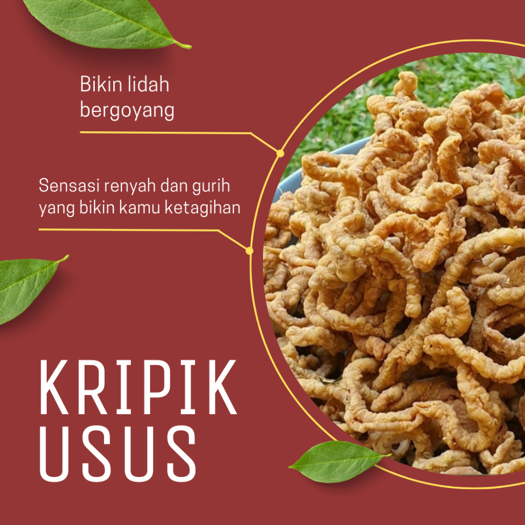 

Keripik Usus Ayam Crispy 1kg Original Gurih dan Renyah Kemasan 100gr/50gr by rumahsnack