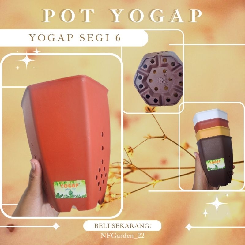 pot yogap segi 6, ukuran 10 | pot | pot tanaman
