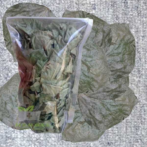 

Jual Daun Dadap Serep Kering Per Bungkus