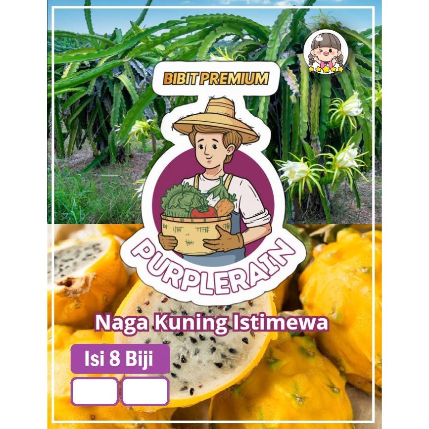 Bibit Premium Buah Naga Kuning | Benih Naga Kuning