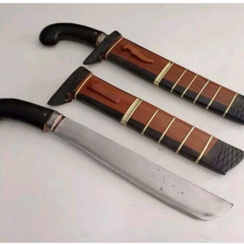 Gollok kerja berkebun ASLI Cibatu TERLARIS MANTAP