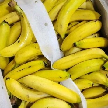 

pisang Sunpride 500 gram