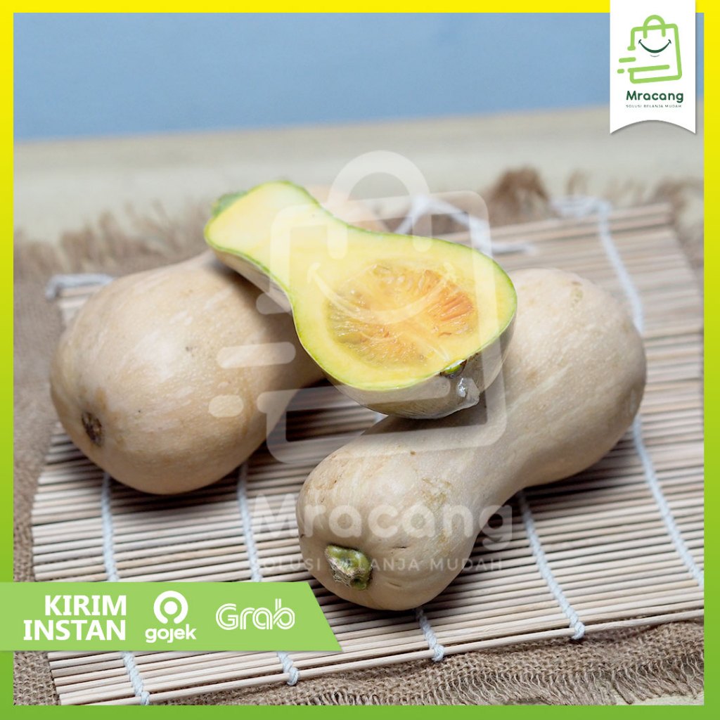 

Labu Butternut Pumpkin / labu Madu Butternut Squash