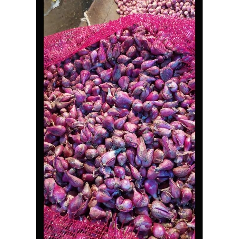 

bawang merah