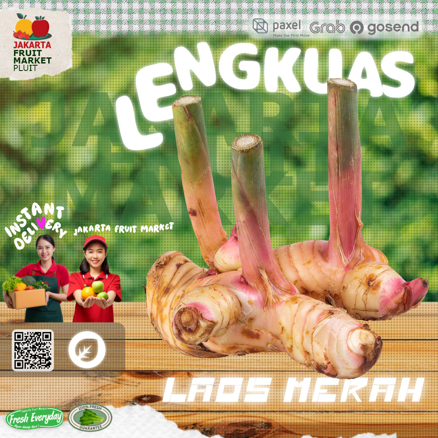 

LENGKUAS / LAOS Merah sayur natural & organic rempah organik fresh