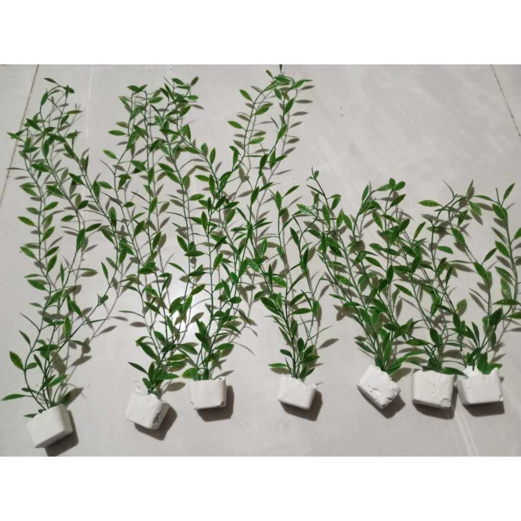 tanaman air aquarium tumbuhan sungai plastik