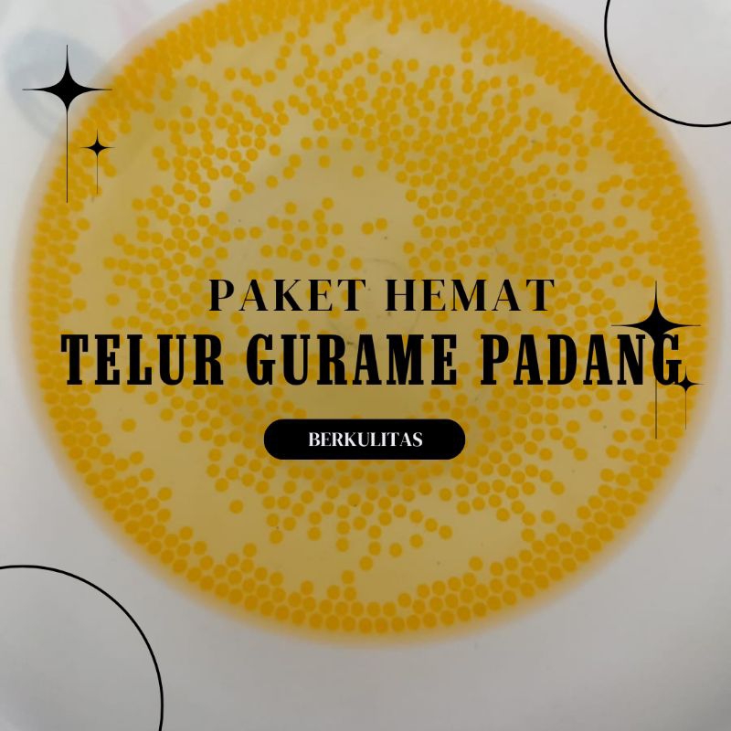 Telur gurame padang isi 2000/Telur gurame berkualitas super/telur gurame soang/isi 2000 telur gurame