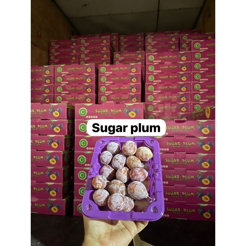 

Sugar Plum