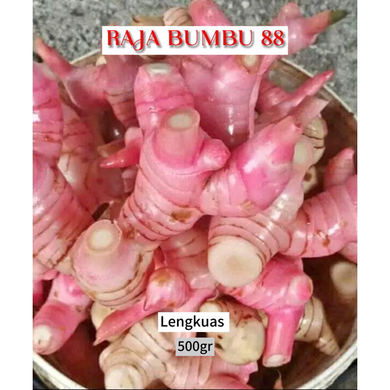 

LENGKUAS 500gr
