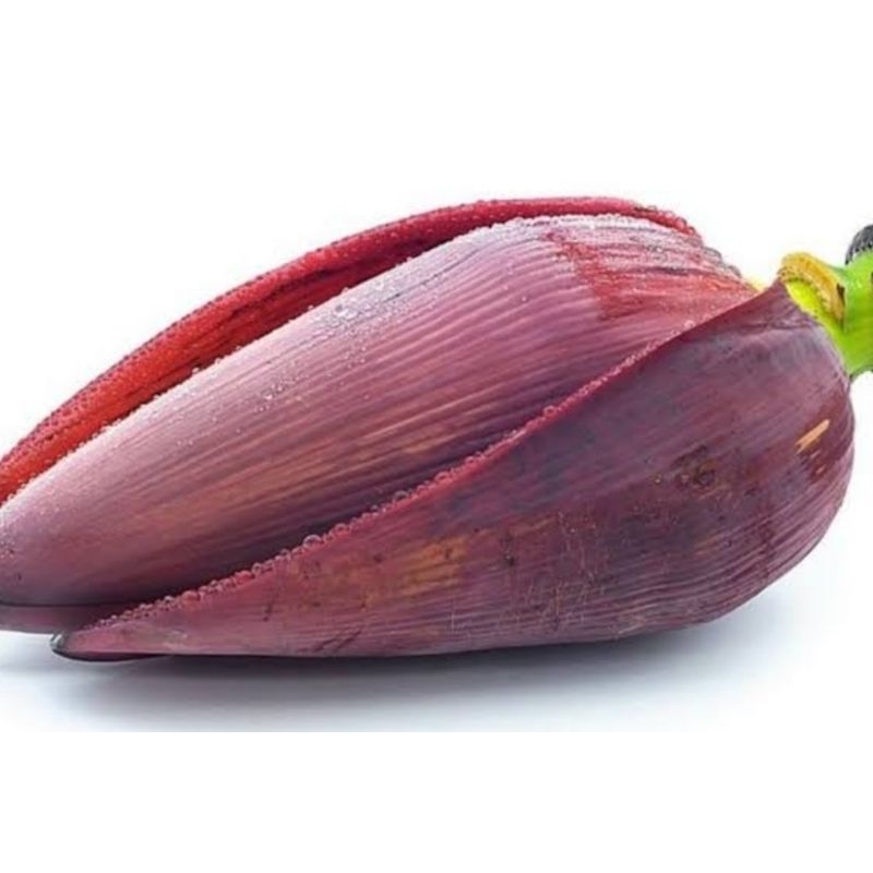 

Jantung pisang raja segar petik langsung 500 gram