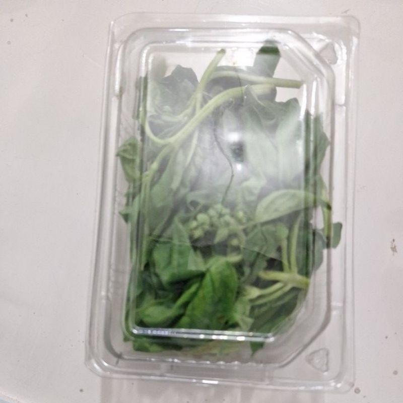 

basil fresh 1 pack 50 gram