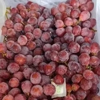 

anggur redglobe ausy fresh