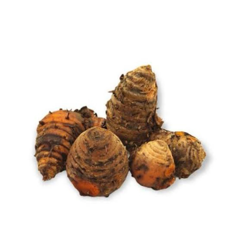 

biang kunyit / induk kunyit 250 gr