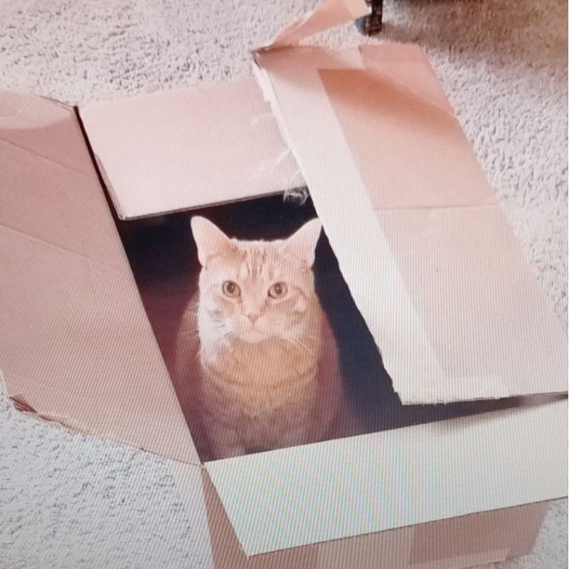 

EKSTRA PACKING BUBBLE WARP + KARDUS