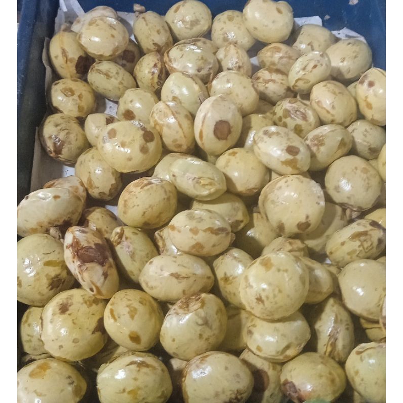

JENGKOLSAMBAL/JENGKOLGORENG/JENGKOLSETENGAHTUA