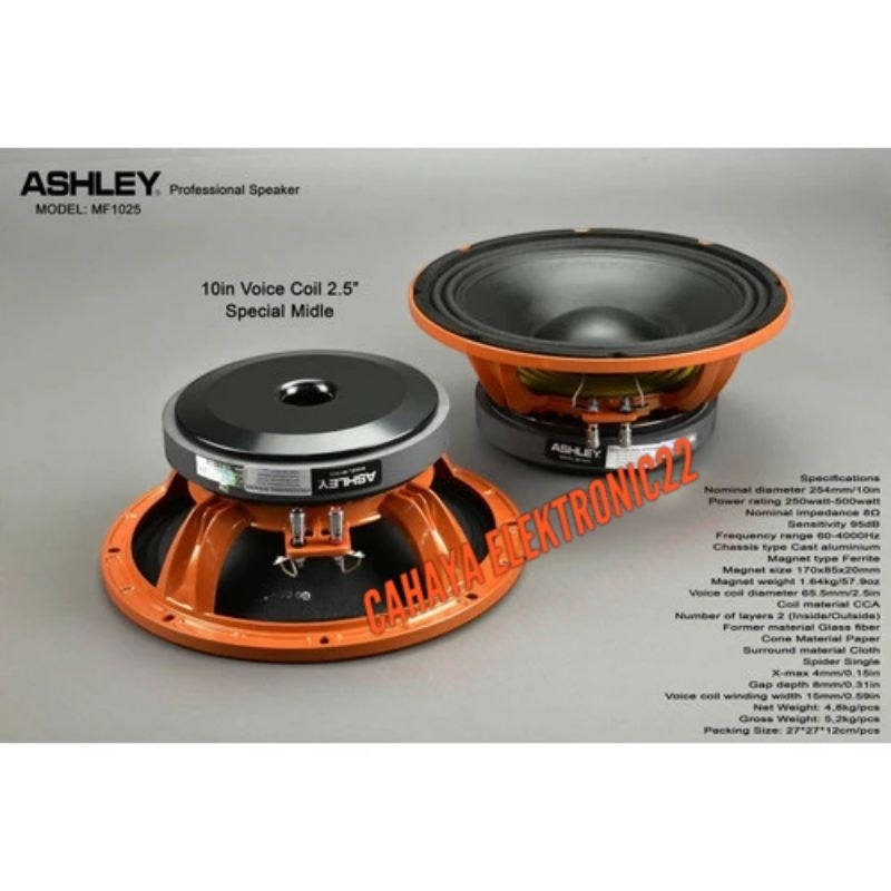 SPEAKER COMPONENT ASHLEY MF 1025 / MF1025 ORIGINAL 10INCH