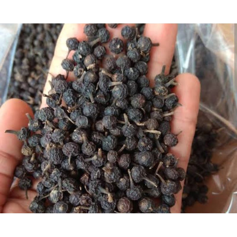 

100% Murni KEMUKUS/TEMUKUS