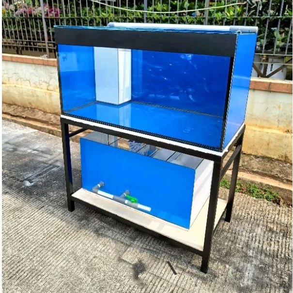 Aquarium paket 100x50x50 full 10 mm sump filter backwash siap pakai