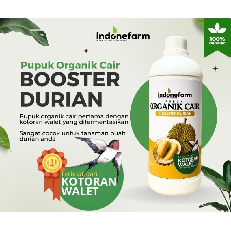 PUPUK KOTORAN WALET | COR ORGANIK BUAH DURIAN | Terbuat Dari Kotoran Walet Asli | Fermentasi 41 Hari