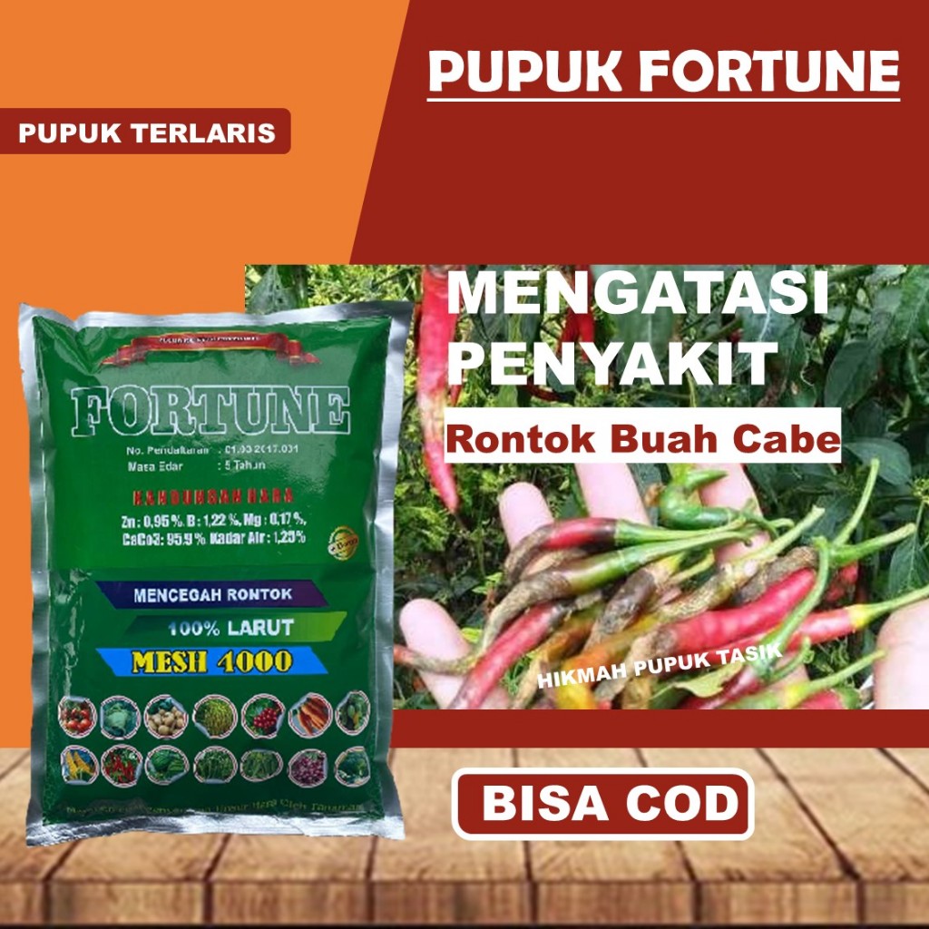 Pupuk Kalsium FORTUNE 1 KG Pencegah Rontok Buah Cabe, Obat Pencegah Rontok Buah Cabe Domba