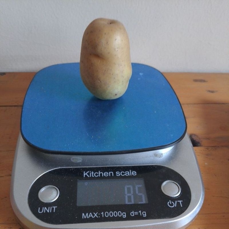 

Kentang Kuning Dieng Sedang 500 gram isi 6-8 pcs [MM - sayur segar - kentang segar]