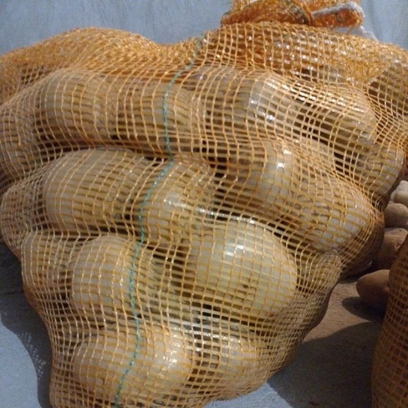 

kentang asli dieng campur [MM -sayur segar -kentang segar super jumbo]