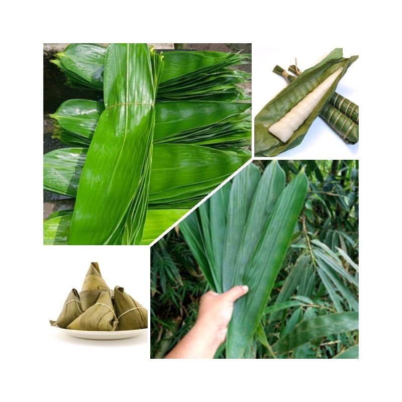 

Daun bambu/Bacang isi 50 lembar