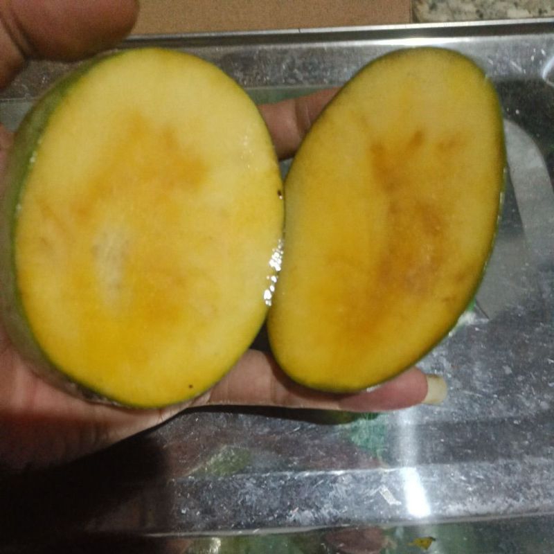 

Mangga Manalagi Madu Manis 1 kg isi 3-4 biji ( Super Jumbo )